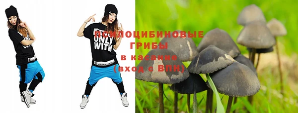 мяу мяу мука Алексеевка