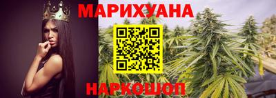сатива Коммунар