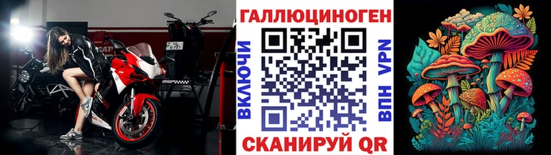 Галлюциногенные грибы Psilocybe  Каменск-Уральский 