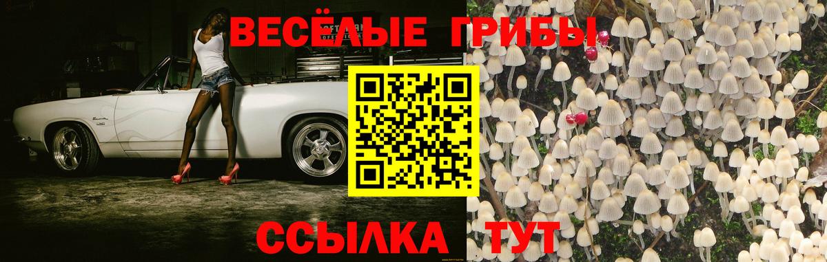Псилоцибиновые грибы прущие грибы  Вход с VPN  Каменск-Уральский 