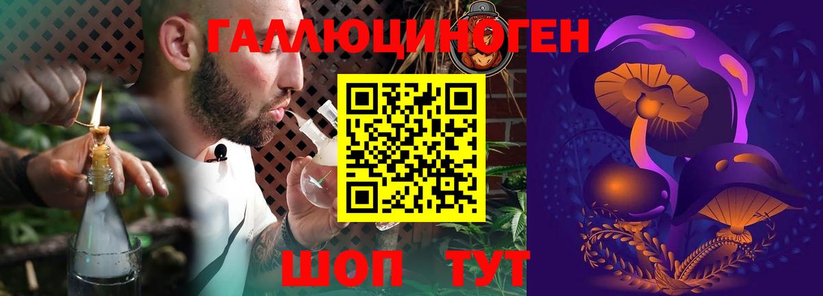 Галлюциногенные грибы Psilocybe Каменск-Уральский